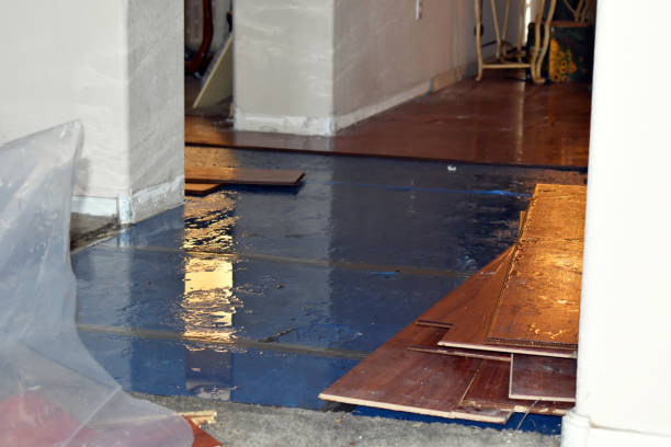 Professional Water Damage Restoration technician working in Tunnelton, WV